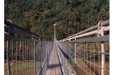The suspended bridge